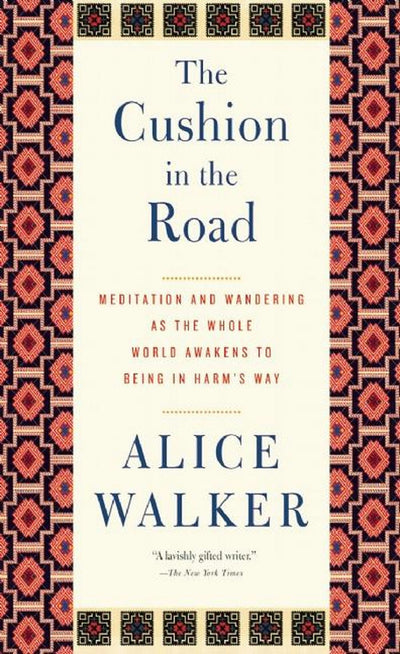 Cover image for The Cushion in the Road, isbn: 9781595588722