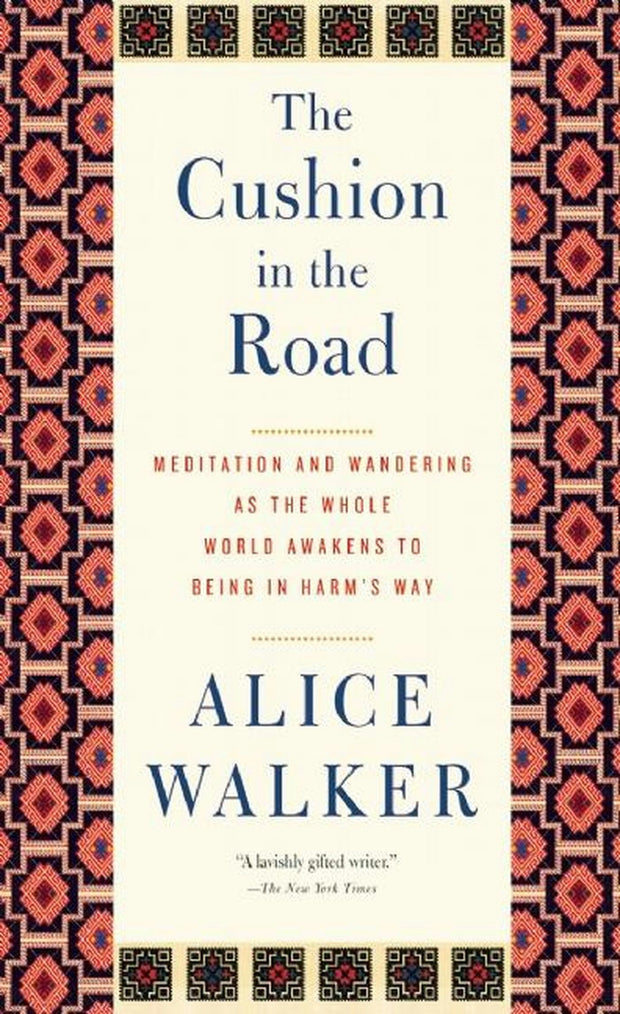 Cover image for The Cushion in the Road, isbn: 9781595588722