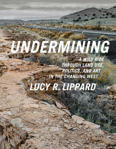 Cover image for Undermining, isbn: 9781595589330