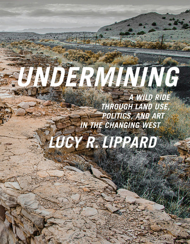 Cover image for Undermining, isbn: 9781595589330