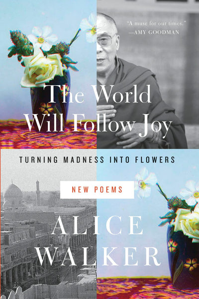 Cover image for The World Will Follow Joy, isbn: 9781595589873