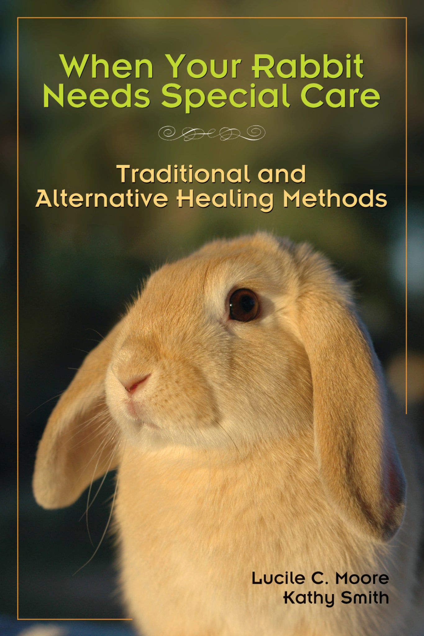 Cover image for When Your Rabbit Needs Special Care ISBN 9781595800312