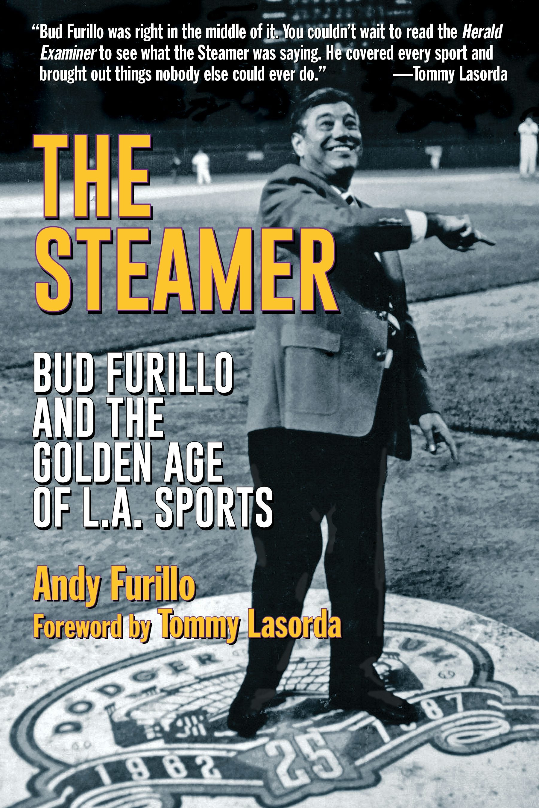 Cover image for The Steamer, isbn: 9781595801517