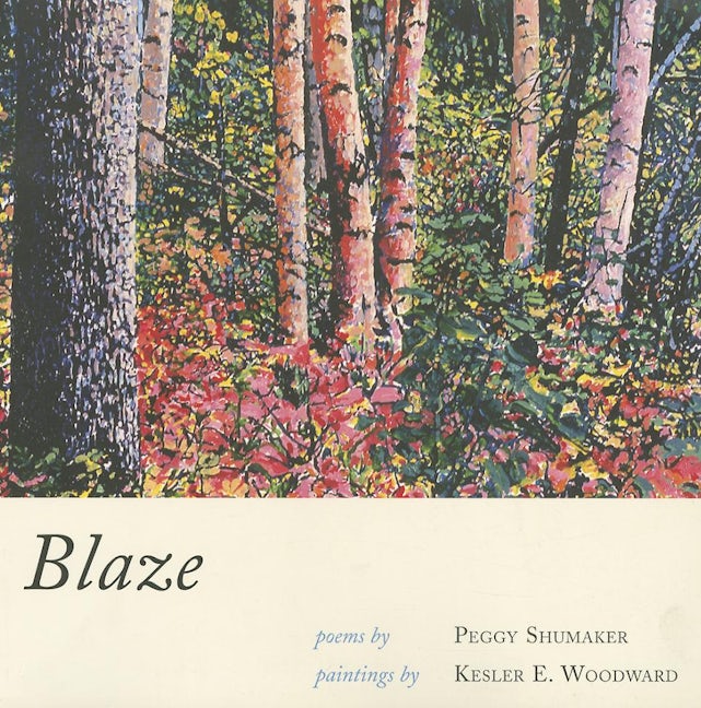 Book cover image for Blaze ISBN: 9781597090544