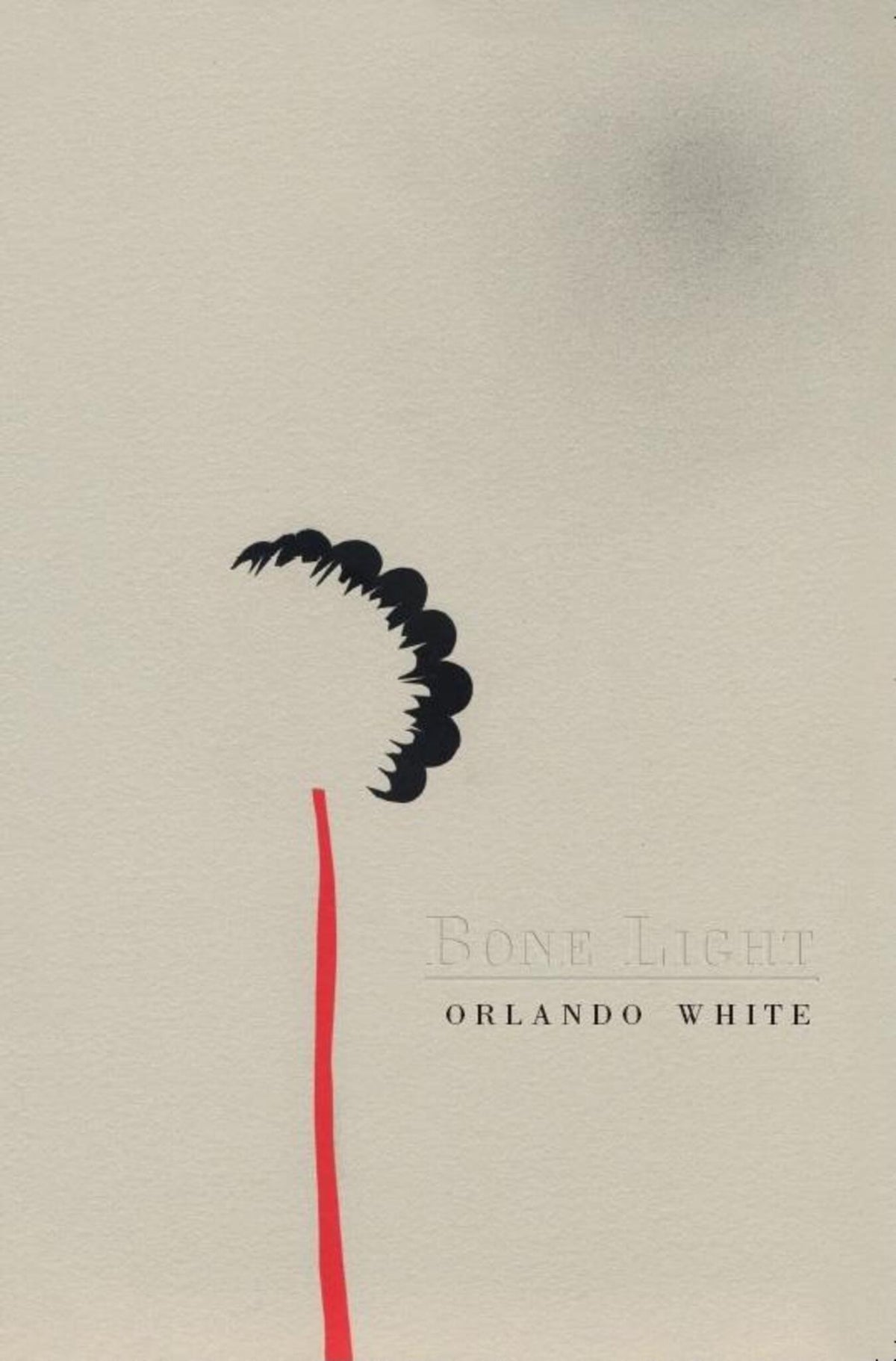 Cover image for Bone Light ISBN 9781597091350