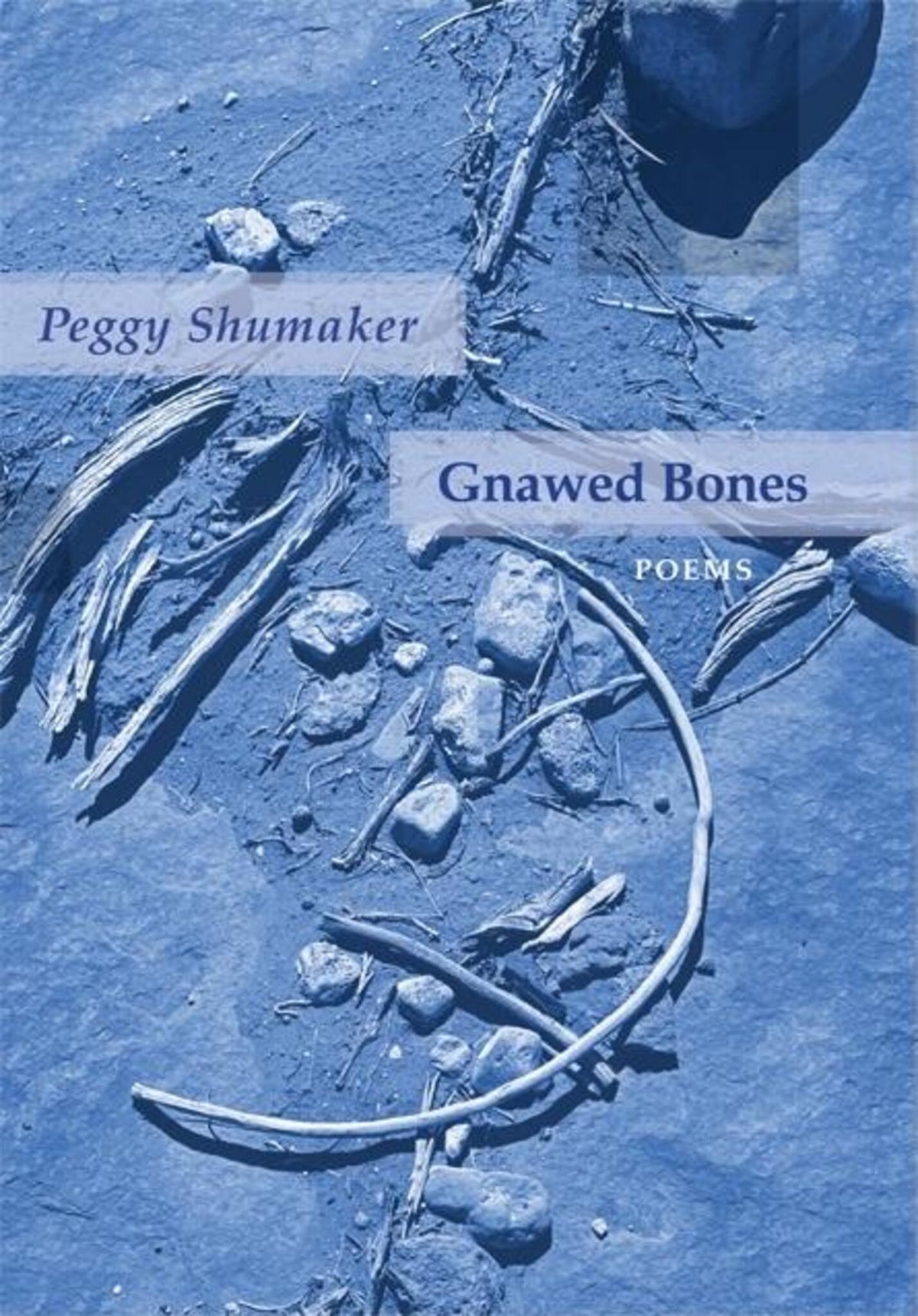 Cover image for Gnawed Bones ISBN 9781597091565