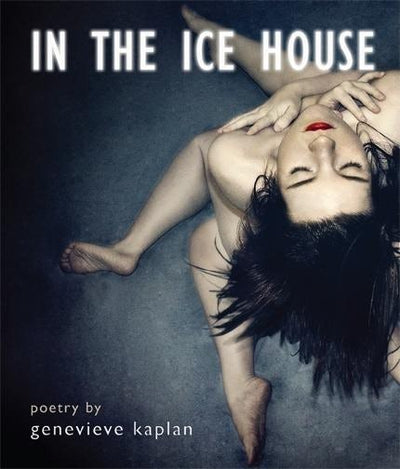 Cover image for In the ice house, isbn: 9781597091756