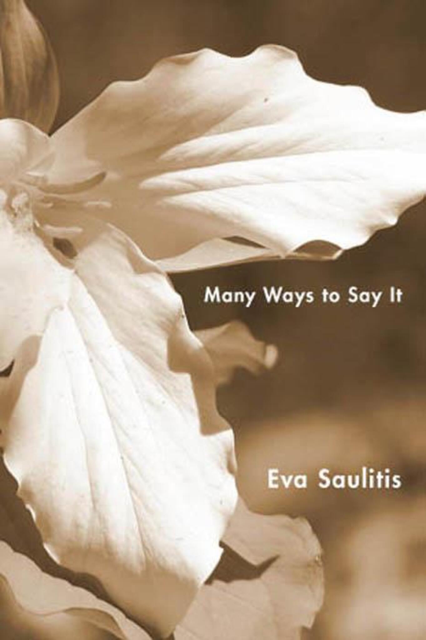 Cover image for Many Ways to Say It ISBN 9781597092425