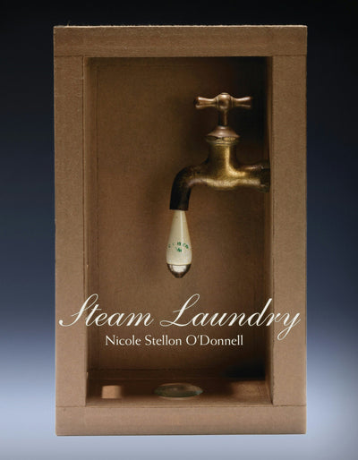 Cover image for Steam Laundry, isbn: 9781597093286
