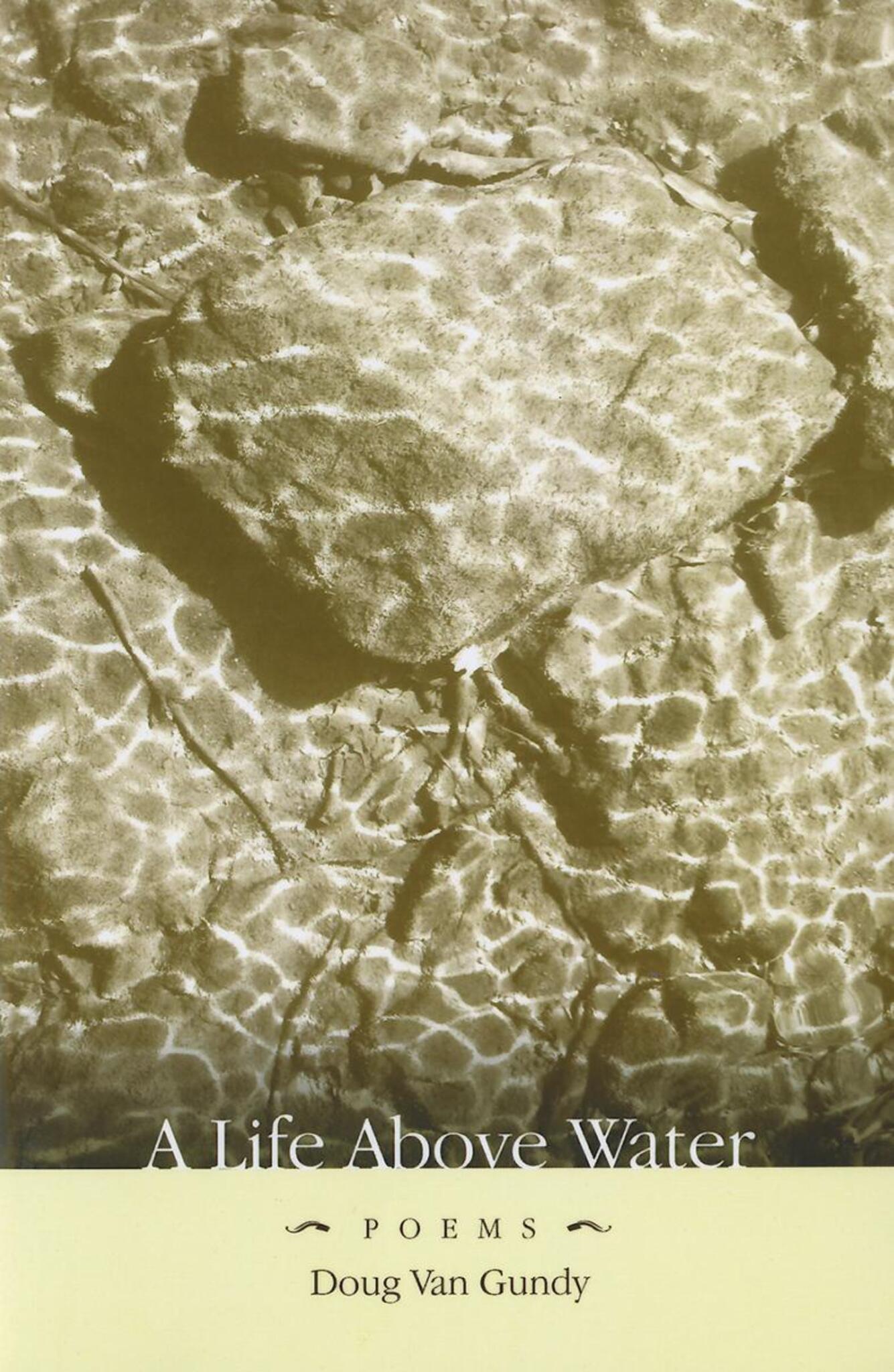 Cover image for A LIFE ABOVE WATER ISBN 9781597094313