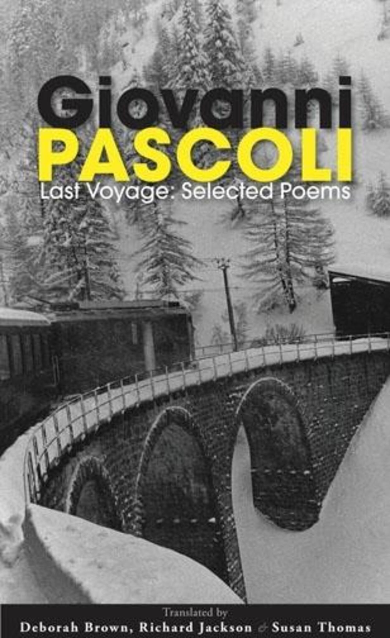 Cover image for Last Voyage ISBN 9781597094870