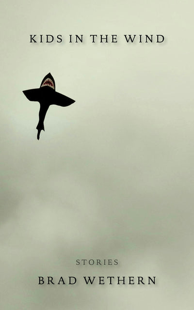 Cover image for Kids in the Wind, isbn: 9781597095358