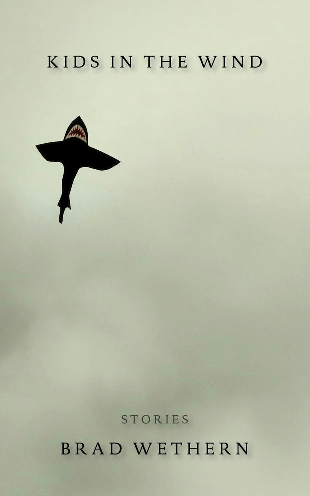 Cover image for Kids in the Wind, isbn: 9781597095358