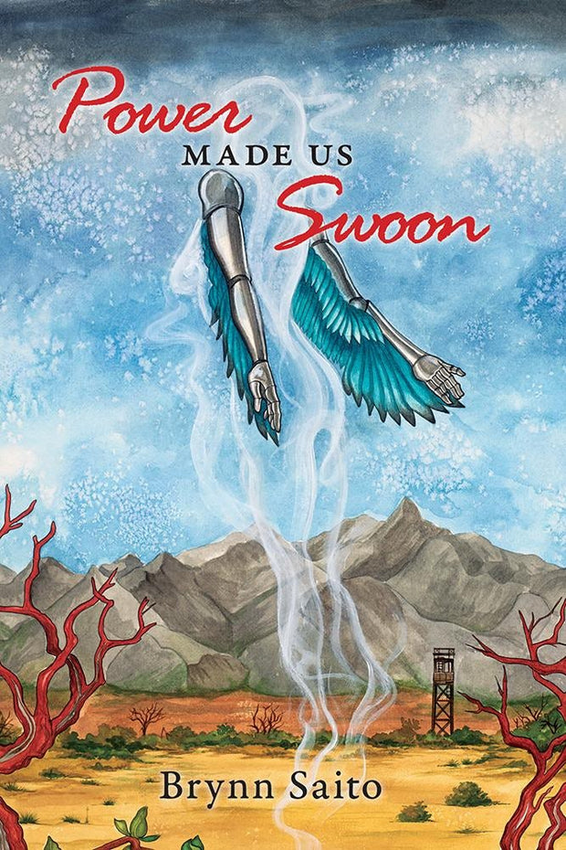Cover image for Power Made Us Swoon, isbn: 9781597095525