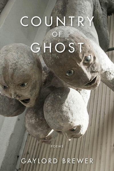 Cover image for Country of Ghost, isbn: 9781597095631