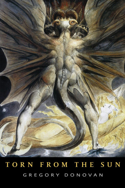 Cover image for Torn from the Sun, isbn: 9781597095839