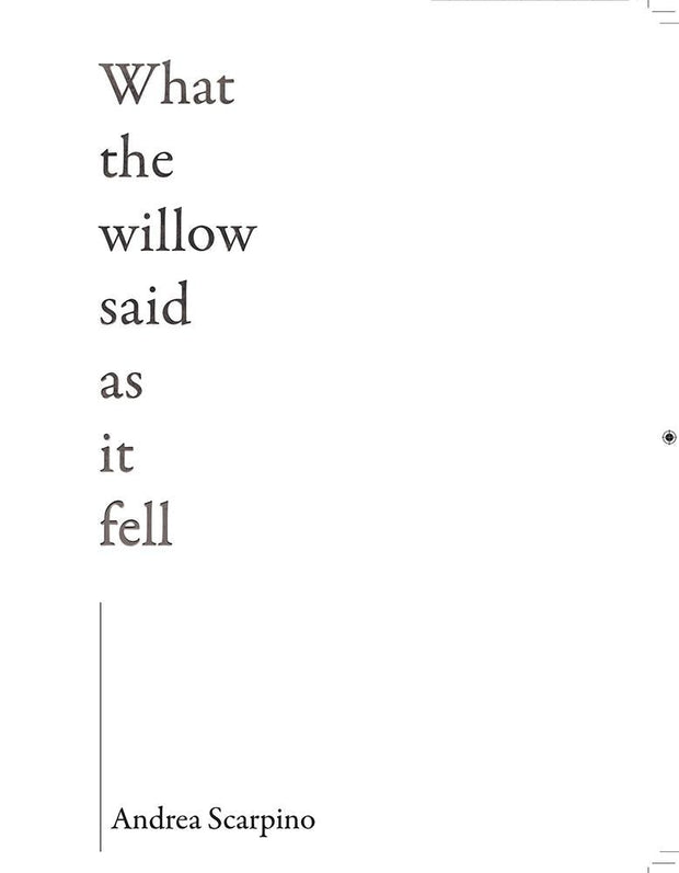 Cover image for What the Willow Said as It Fell, isbn: 9781597095853