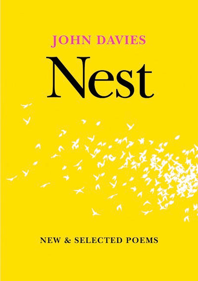 Nest