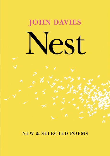 Nest