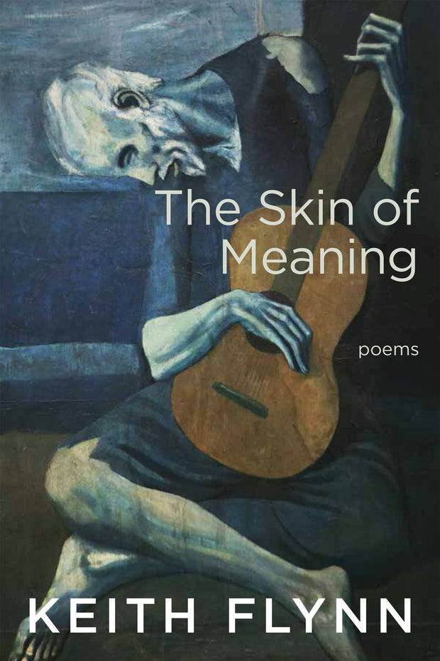 Cover image for The Skin of Meaning, isbn: 9781597098434