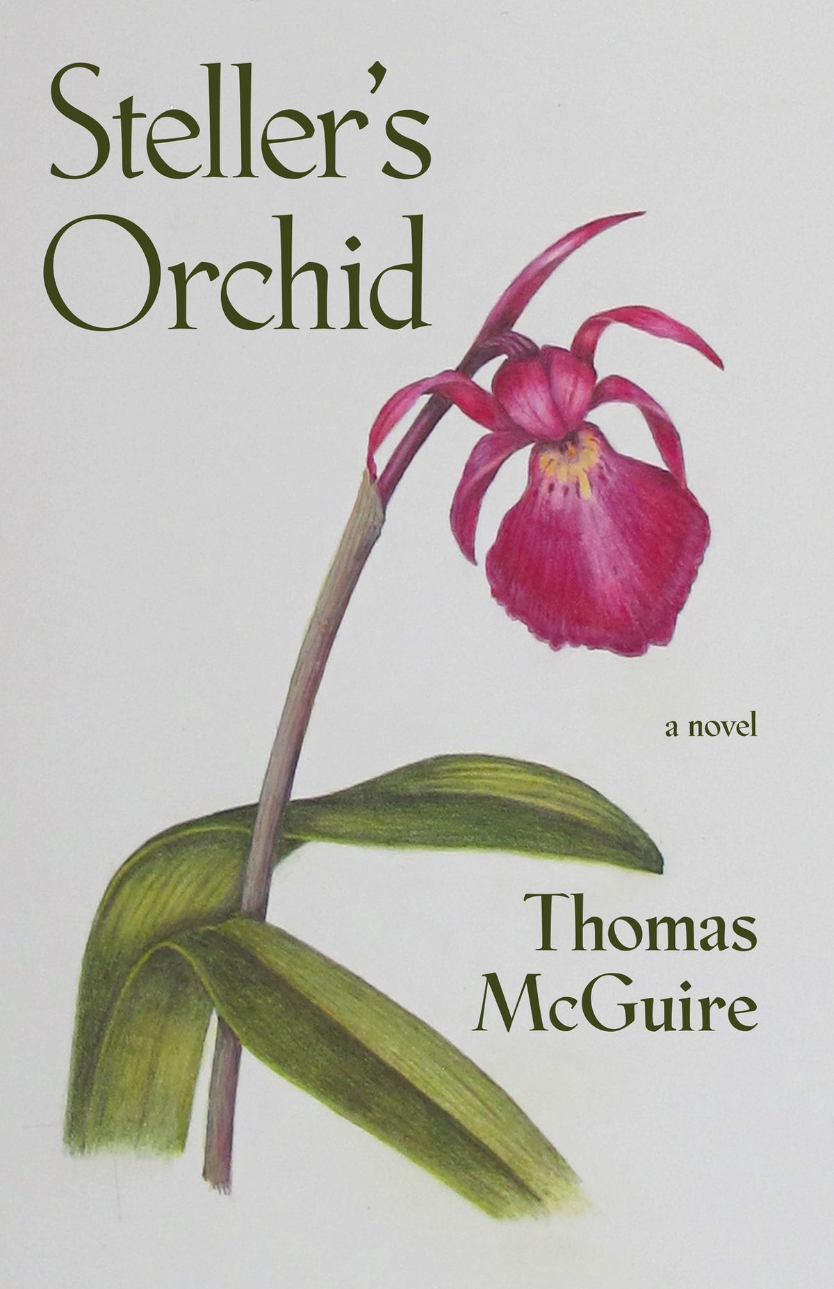 Cover image for Steller's Orchid ISBN 9781597098601