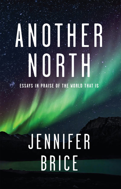 Cover image for Another North, isbn: 9781597099387