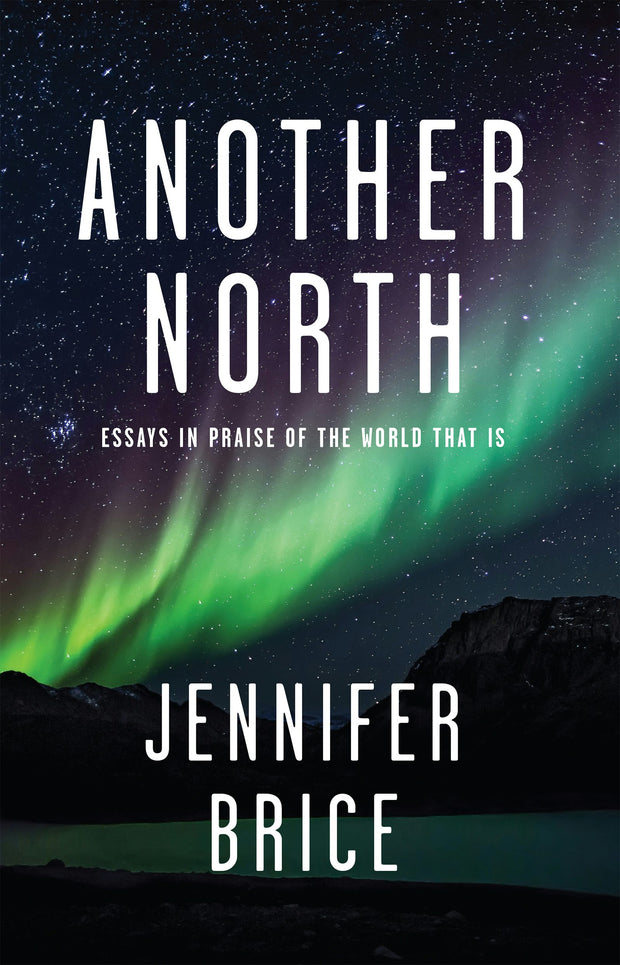 Cover image for Another North, isbn: 9781597099387