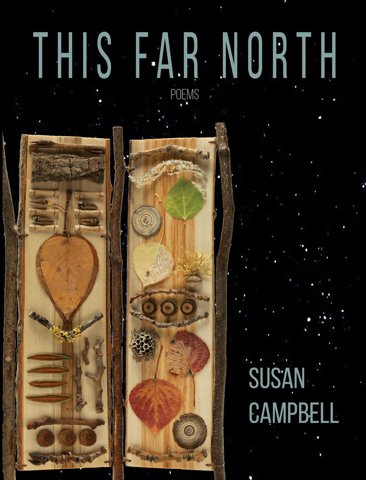 Cover image for This Far North ISBN 9781597099479