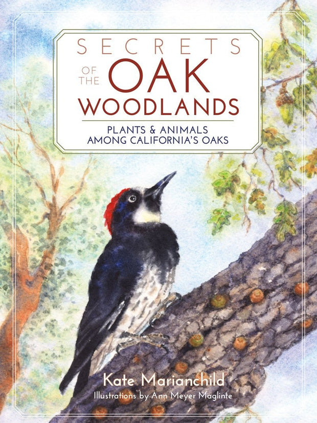 Cover image for Secrets of the Oak Woodlands, isbn: 9781597143721