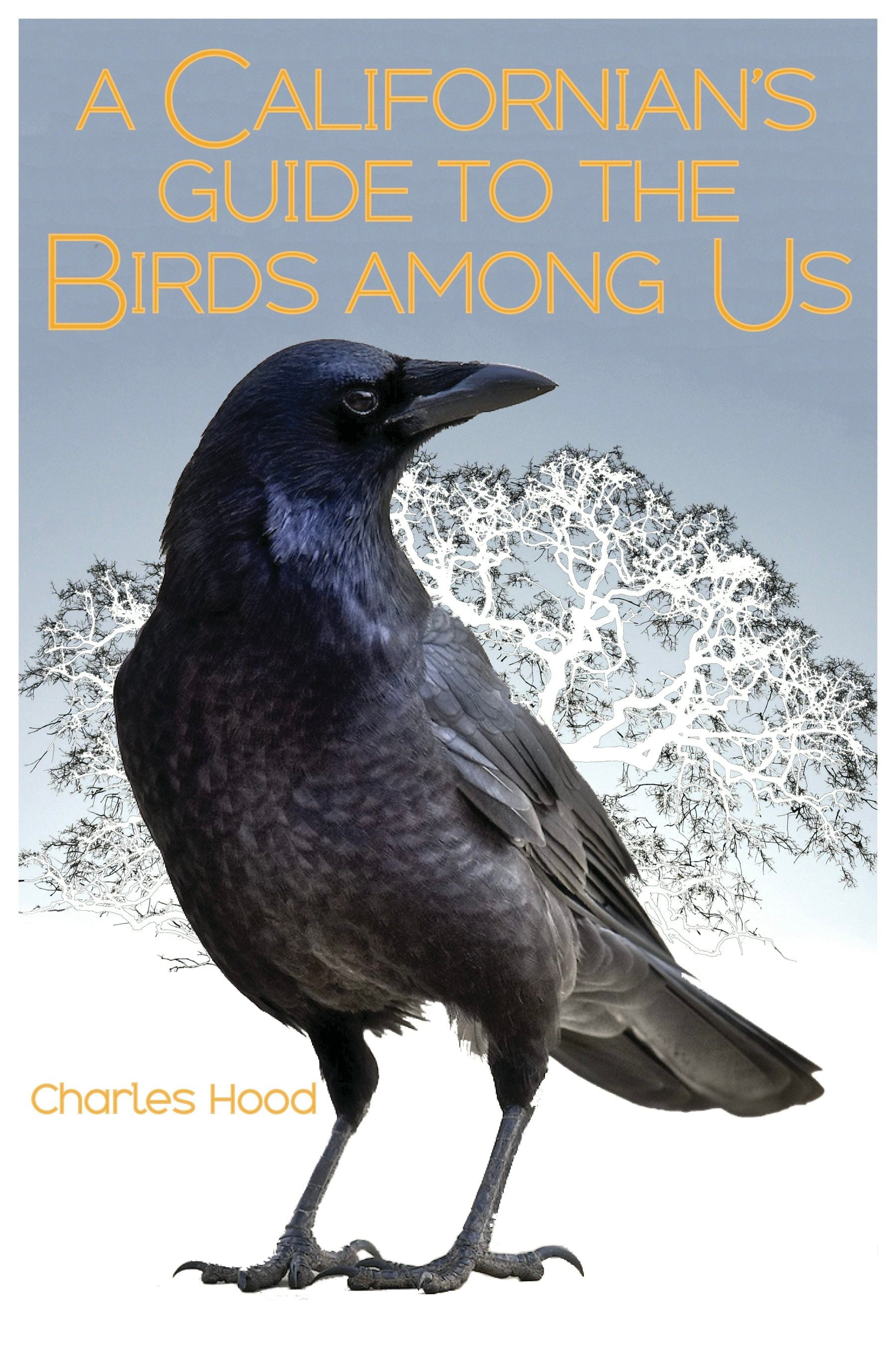 Book cover image for A Californian's Guide to the Birds Among Us ISBN: 9781597144285
