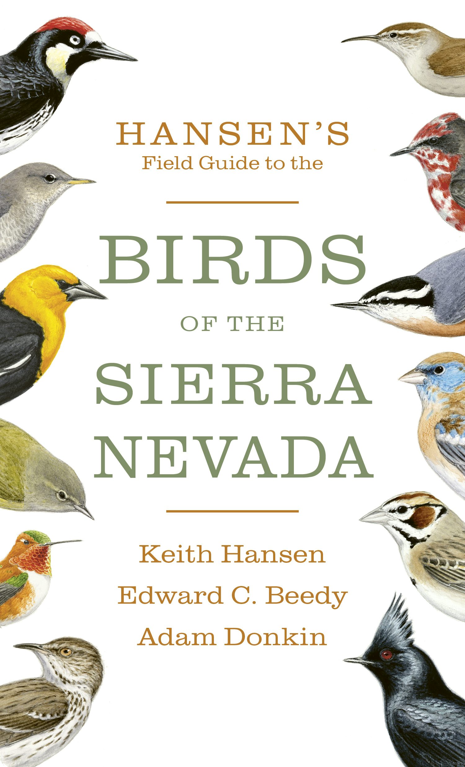 Book cover image for Hansen's Field Guide to the Birds of the Sierra Nevada ISBN: 9781597145343