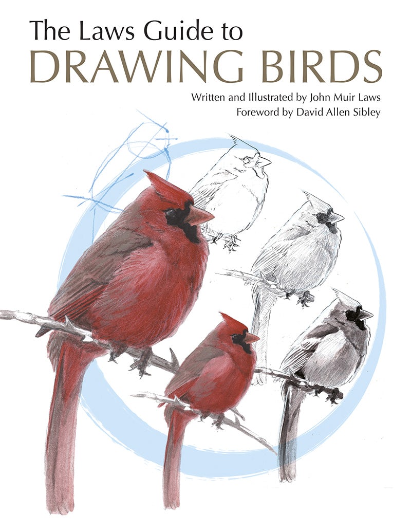 Cover image for The Laws Guide to Drawing Birds, isbn: 9781597145398
