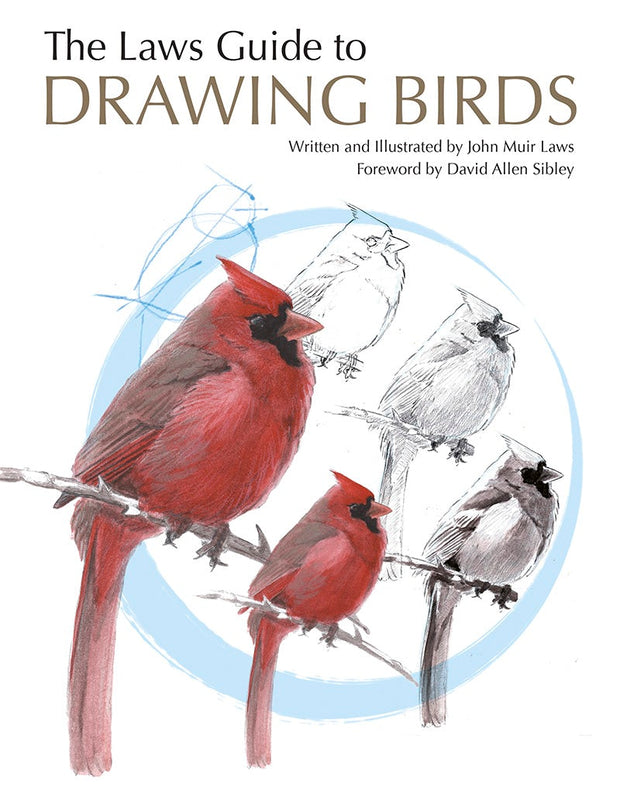 Cover image for The Laws Guide to Drawing Birds, isbn: 9781597145398