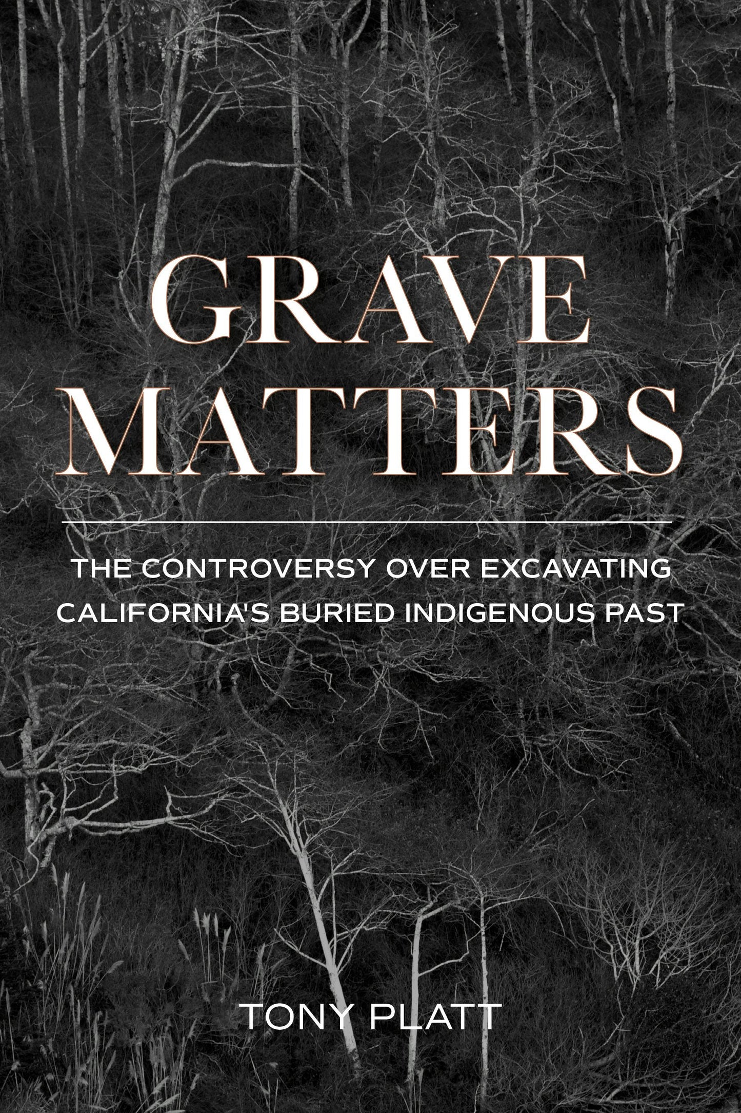 Book cover image for Grave Matters ISBN: 9781597145626