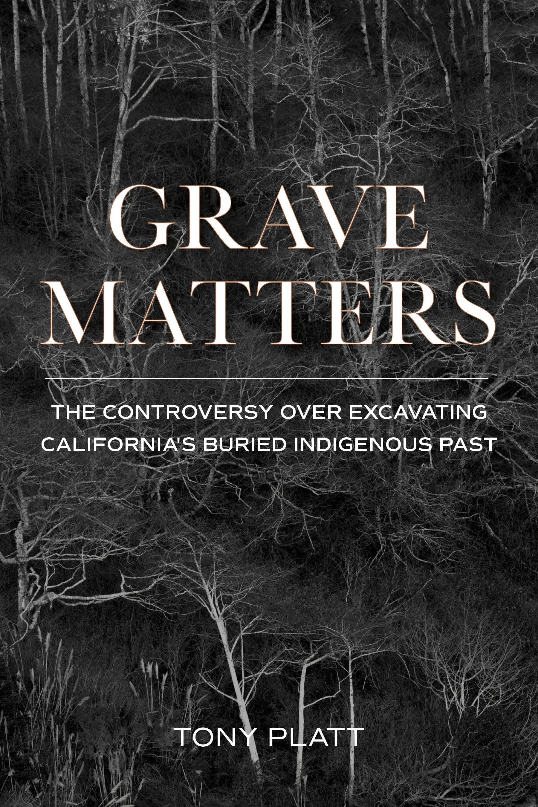 Book cover image for Grave Matters ISBN: 9781597145626