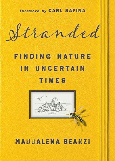 Cover image for Stranded, isbn: 9781597146135
