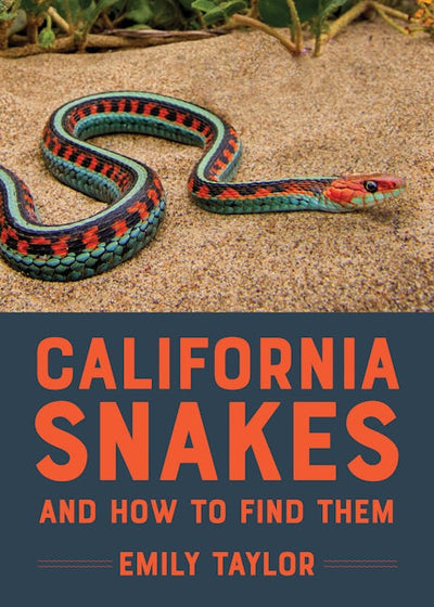 California Snakes and How to Find Them