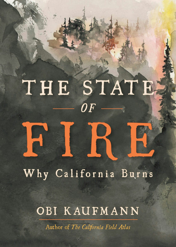Cover image for The State of Fire, isbn: 9781597146524