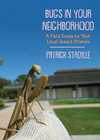 Cover image for Bugs in Your Neighborhood, isbn: 9781597146838