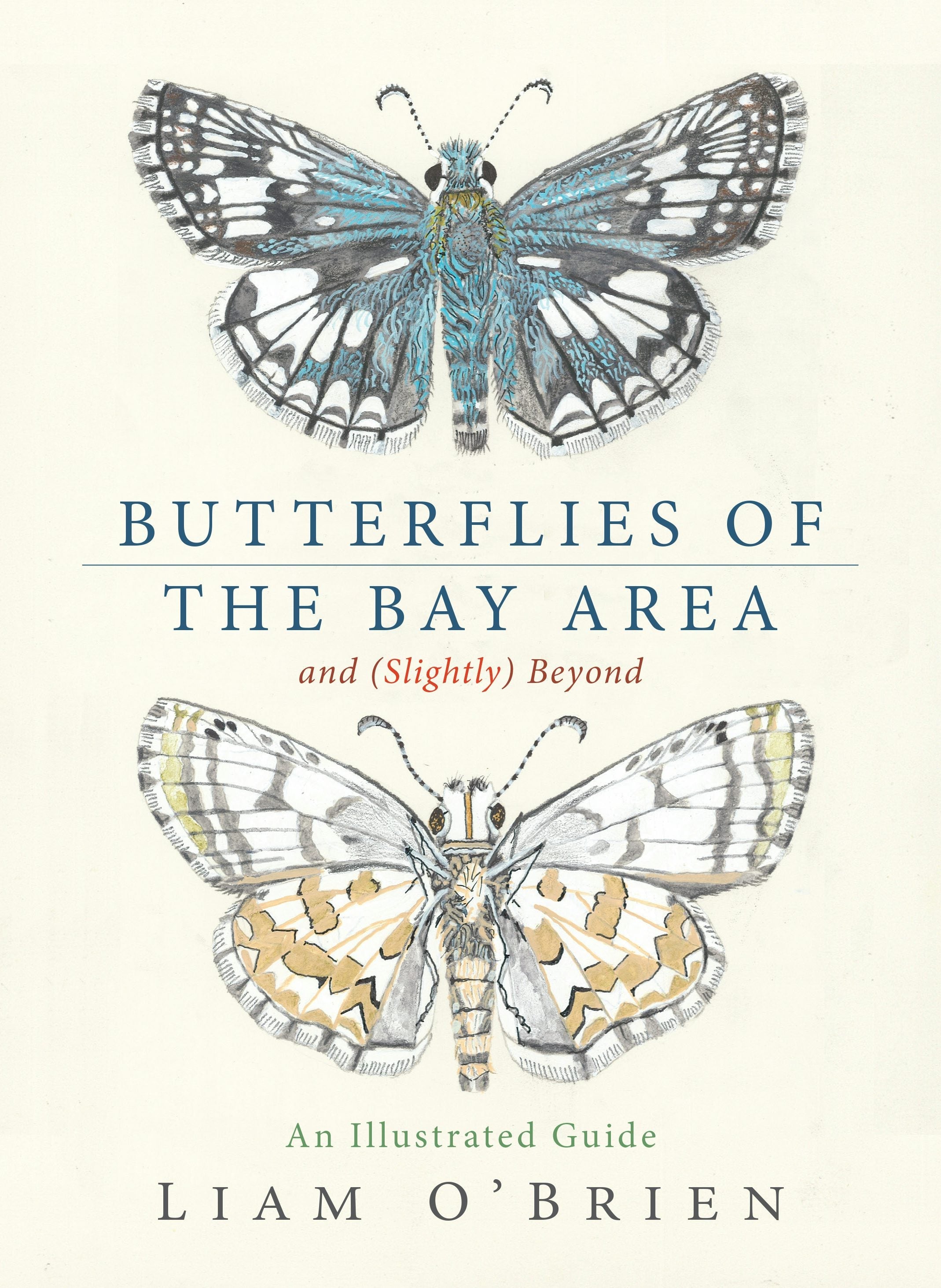 Book cover image for Butterflies of the Bay Area and (Slightly) Beyond ISBN: 9781597146869