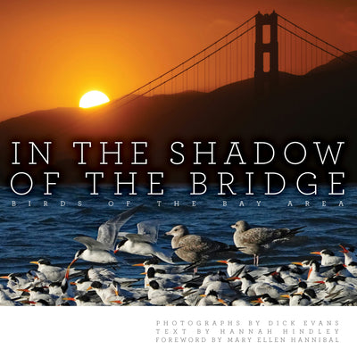 Cover image for In the Shadow of the Bridge, isbn: 9781597146913