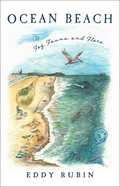 Cover image for Ocean Beach, isbn: 9781597146944