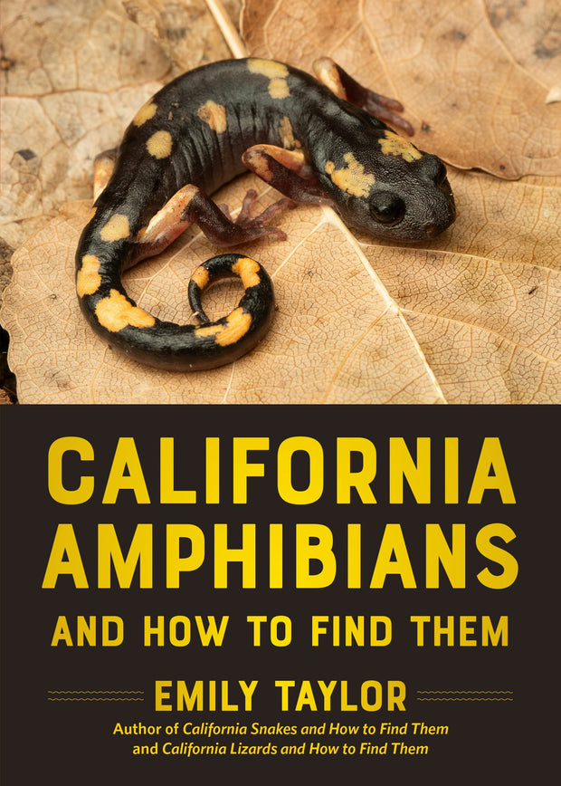 Cover image for California Amphibians and How to Find Them, isbn: 9781597146999