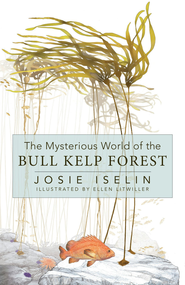 Cover image for The Mysterious World of the Bull Kelp Forest, isbn: 9781597147026