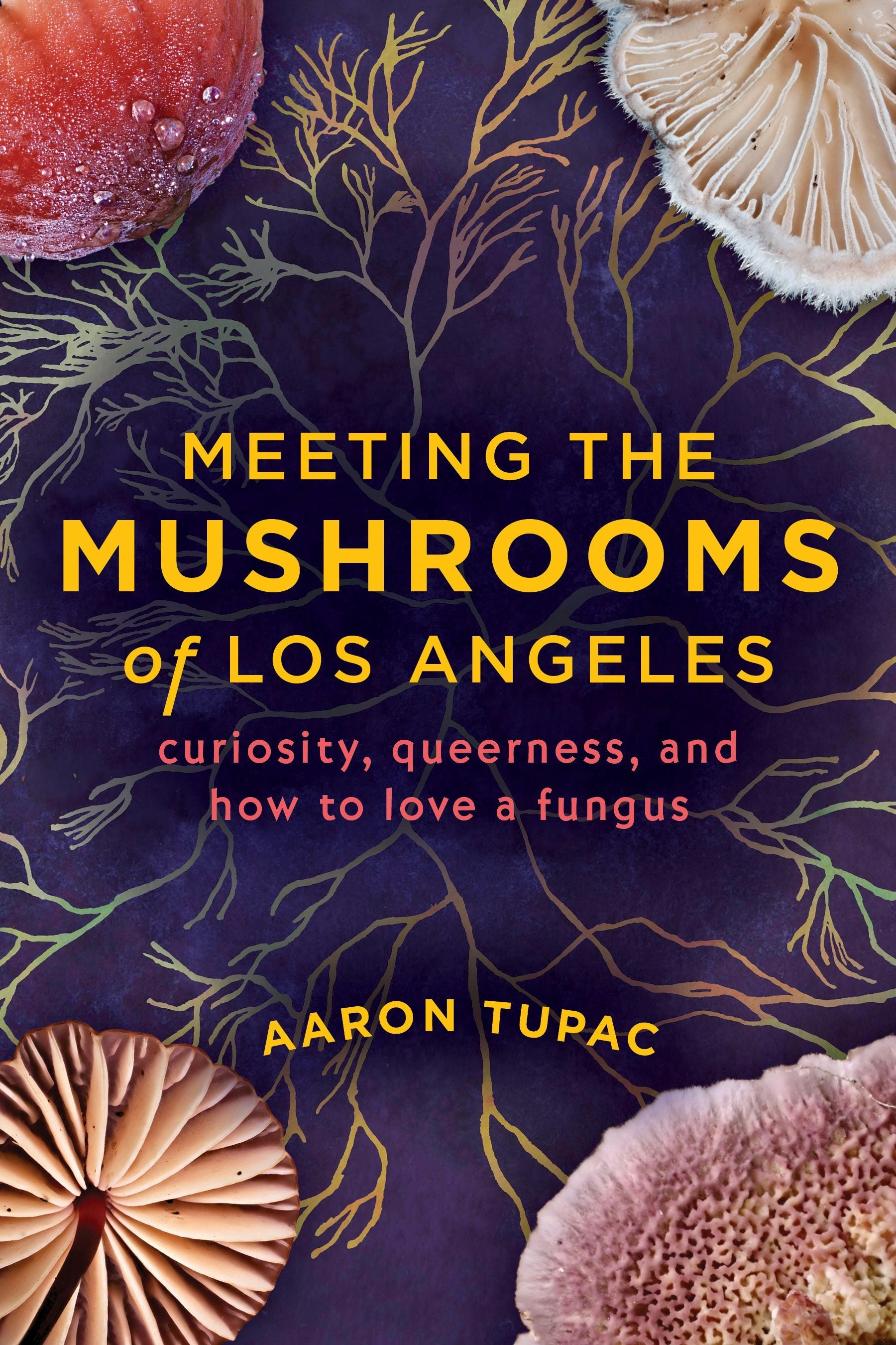 Book cover image for Meeting the Mushrooms of Los Angeles ISBN: 9781597147309