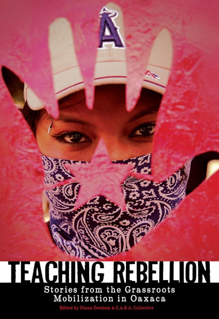 Book cover image for Teaching Rebellion ISBN: 9781604860320