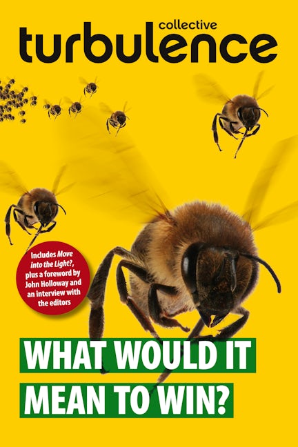 Book cover image for What Would it Mean to Win? ISBN: 9781604861105