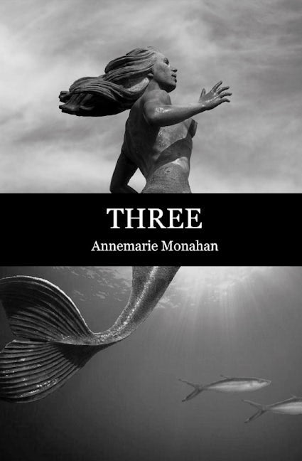 Book cover image for Three ISBN: 9781604866315