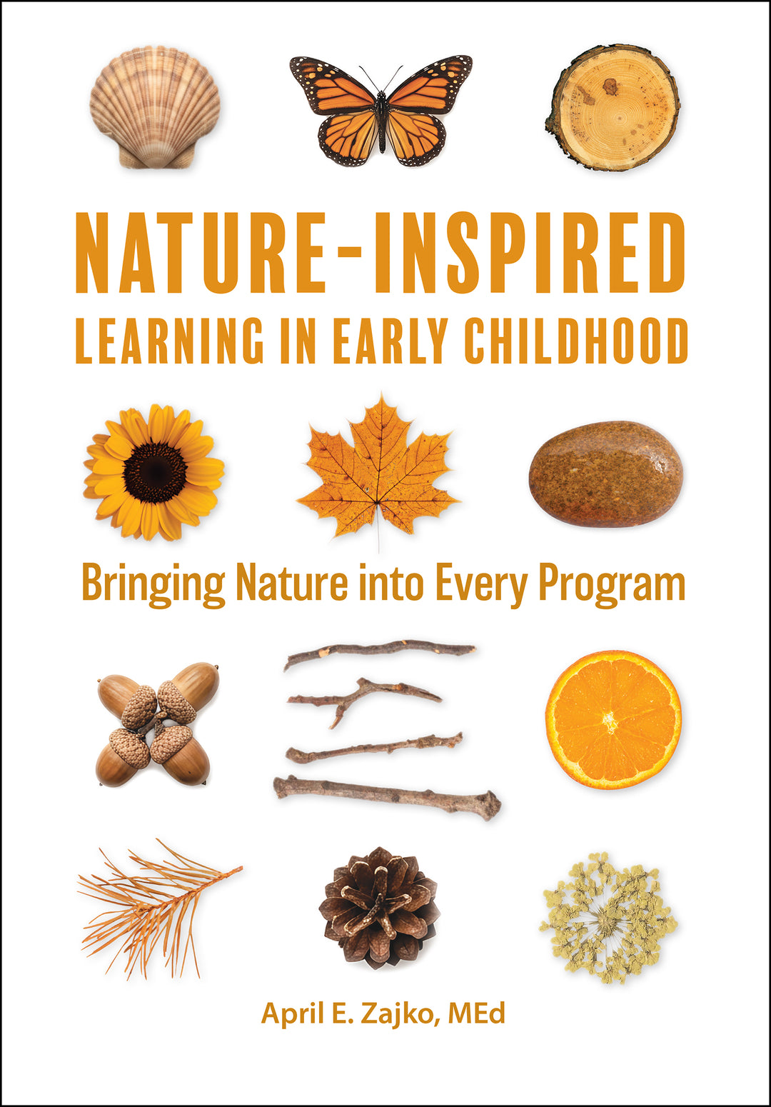 Cover image for Nature-Inspired Learning in Early Childhood ISBN 9781605548715