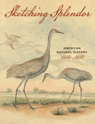 Cover image for Sketching Splendor, isbn: 9781606180402
